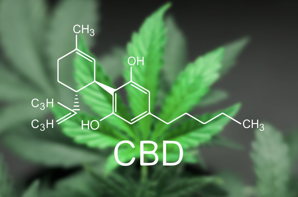Protect Your Colorado CBD Business