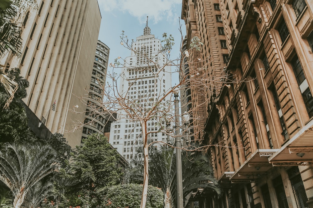 Commercial Property Buy Back Program