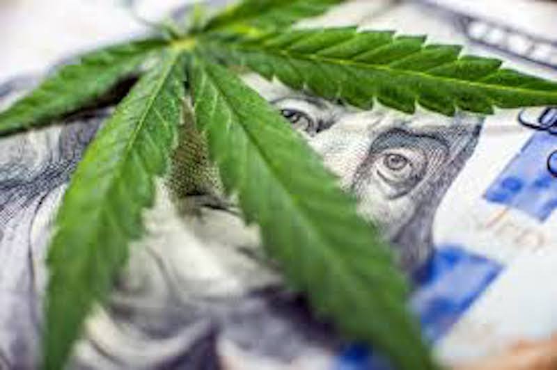 Cannabis Insurance Part I