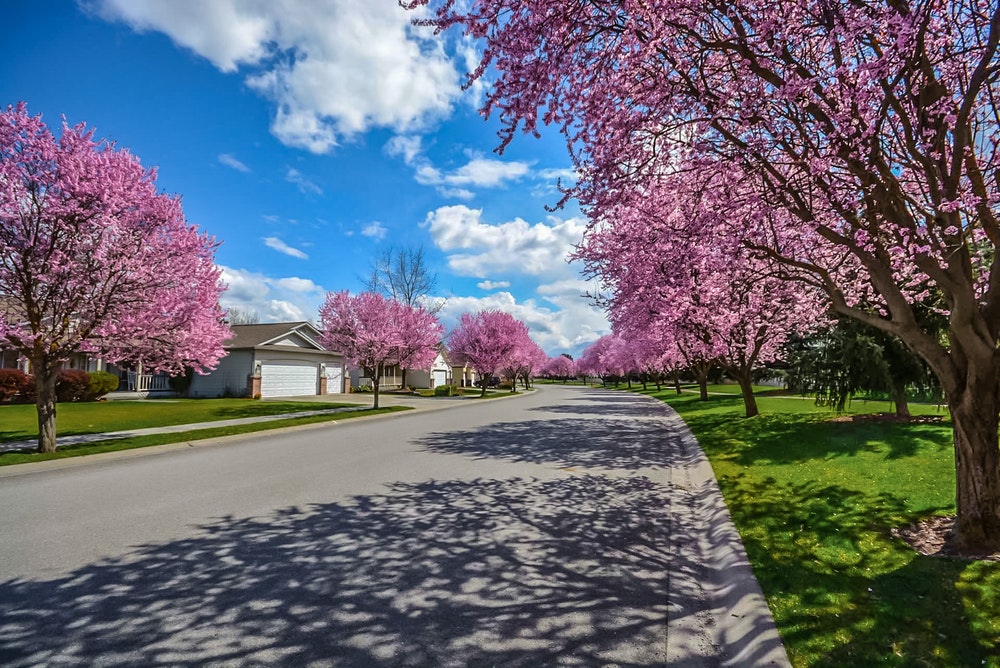 Why Our Community Association Director and Officer Professional Liability Insurance